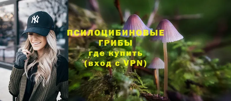 Галлюциногенные грибы Cubensis  где найти наркотики  Асино 