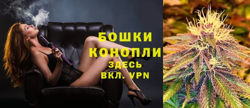 как найти   Асино  Шишки марихуана SATIVA & INDICA 